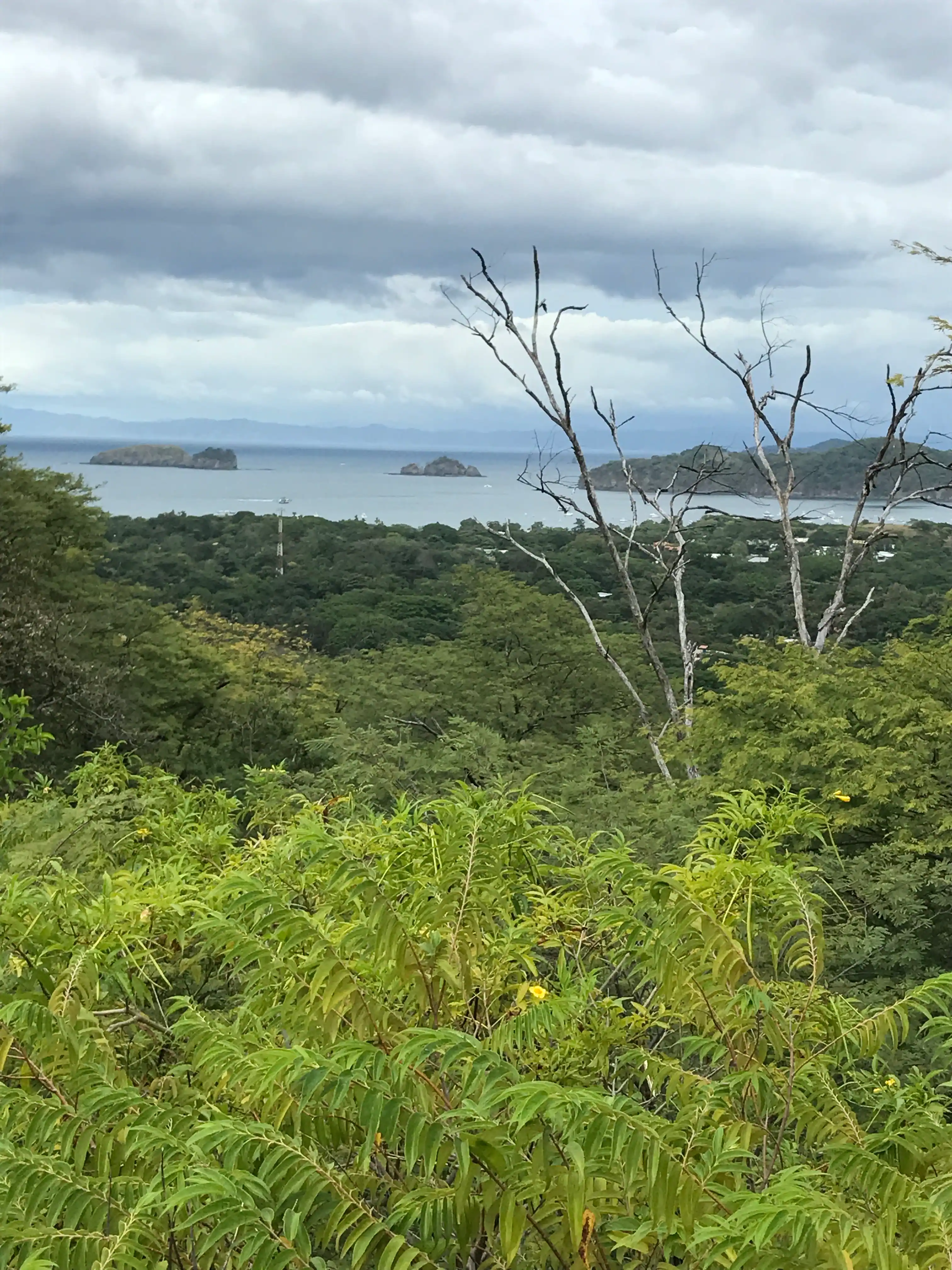 Two Oceanview lots and Playa del coco costa rica - Image 1