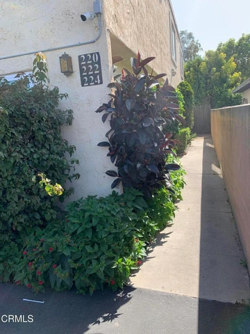 Money Making Opportunity for trade in Santa Paula - photo 10