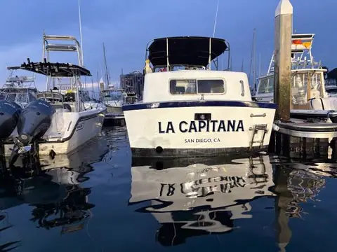 1986 Willard Navy Captains gig documented and fully restored - photo 7