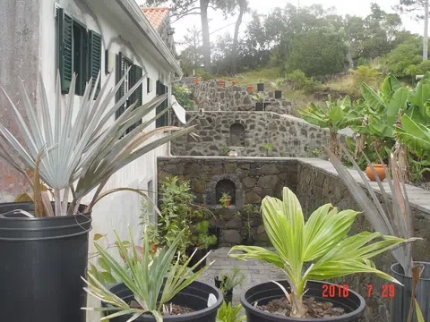 Thumbnail 16