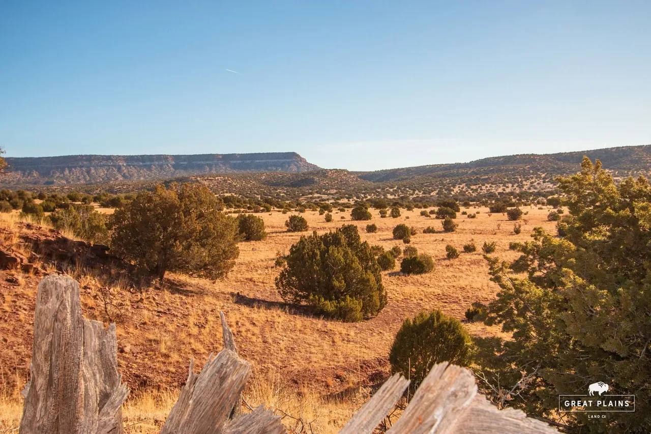 141 acre Mammoth Crest Ranch | San Miguel County | Las Vegas, NM - Image 1
