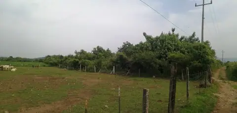 Wonderful piece of land in Santa Catarina, Tepoztlan, Morelos, México. - photo 4